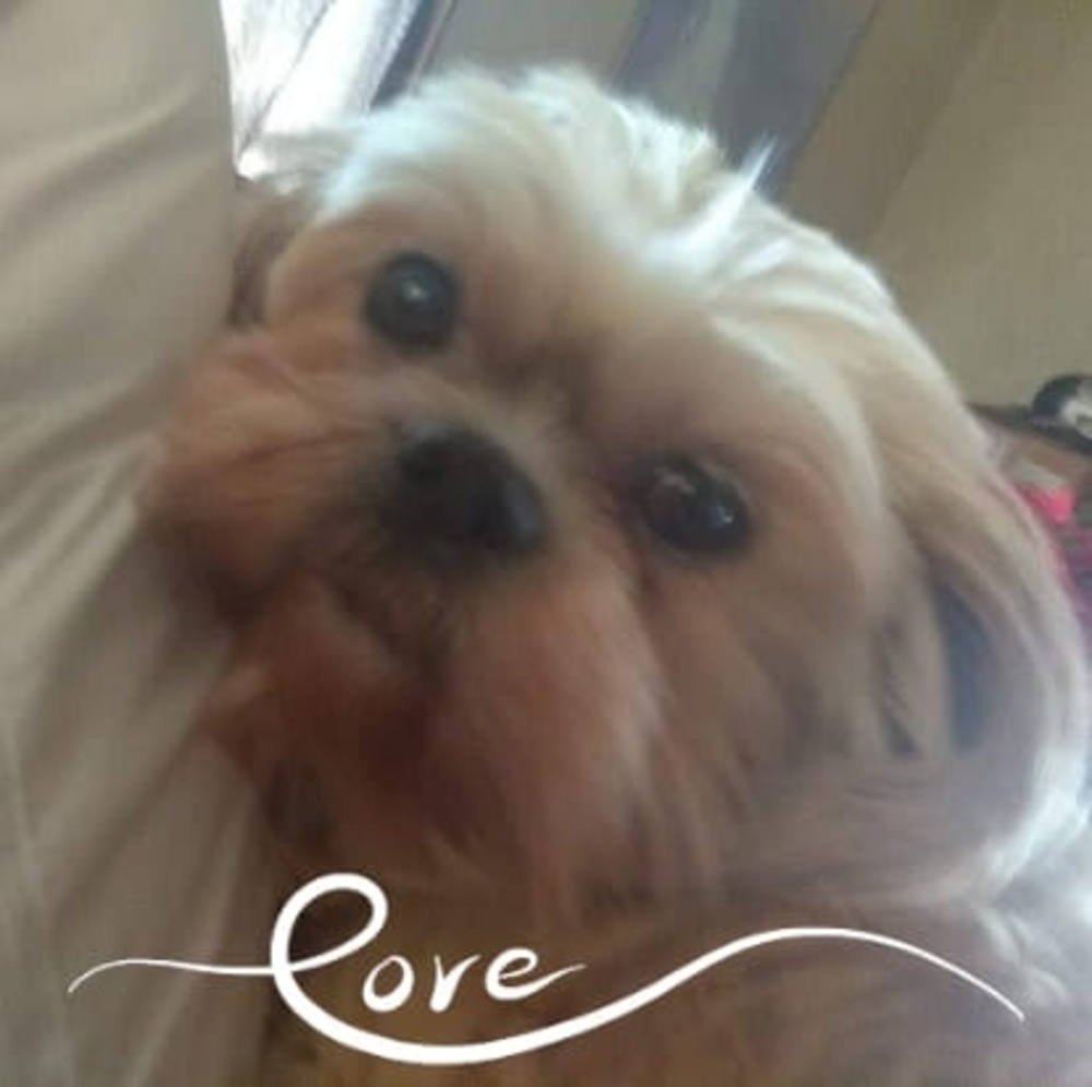 Meet your Posher, Alicia